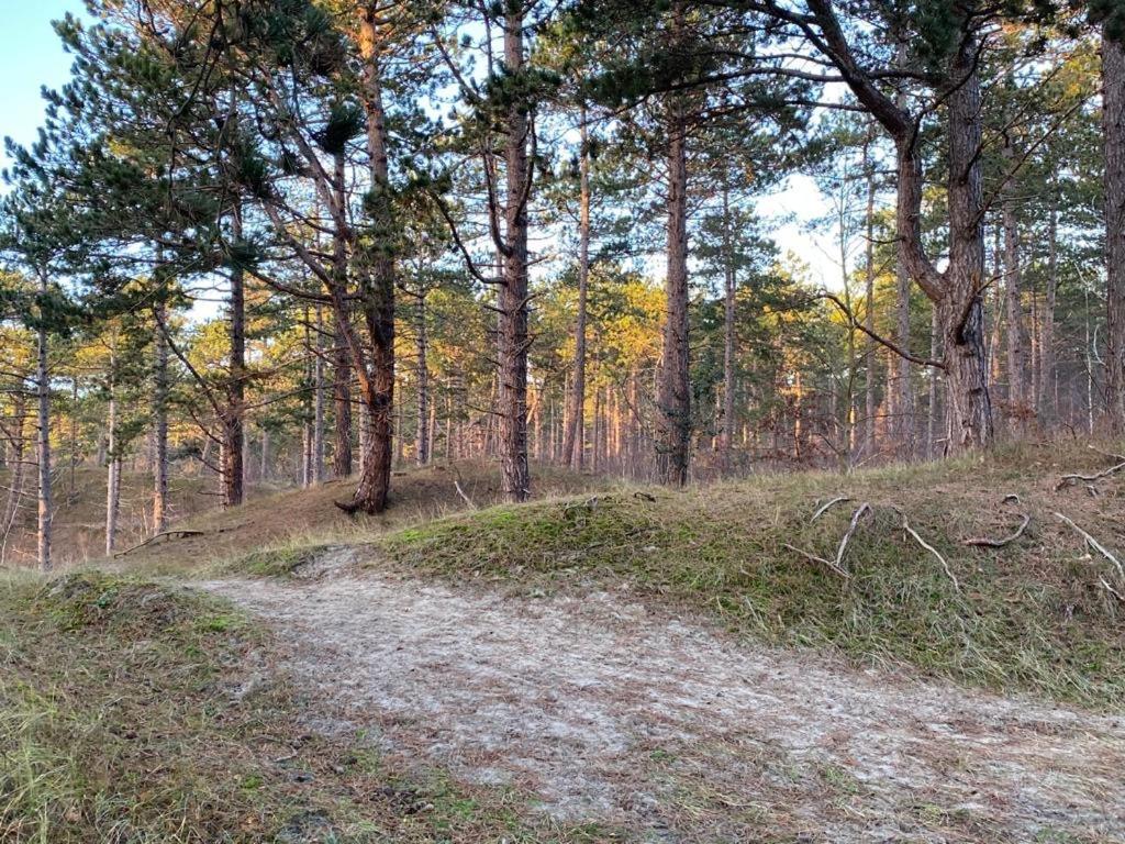 Gezellig Gastenverblijf In Het Centrum Burgh-Haamstede Exterior foto